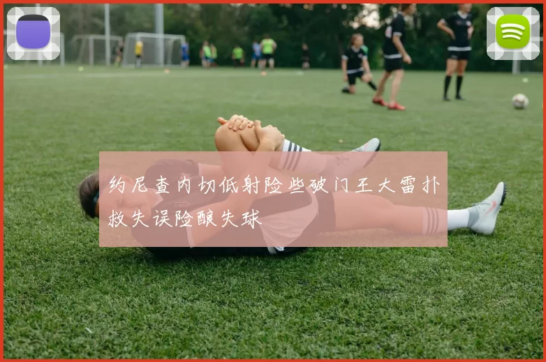 约尼查内切低射险些破门王大雷扑救失误险酿失球