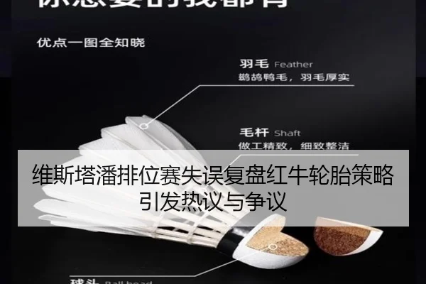 维斯塔潘排位赛失误复盘红牛轮胎策略引发热议与争议